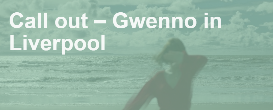 Brighter Sound unveil opportunity for Merseyside female artists to work & perform with Gwenno 