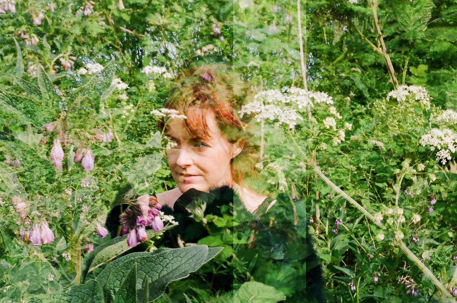 The Unsigned Guide Spotlight: November